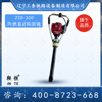 ZCD-300内燃直动捣固镐